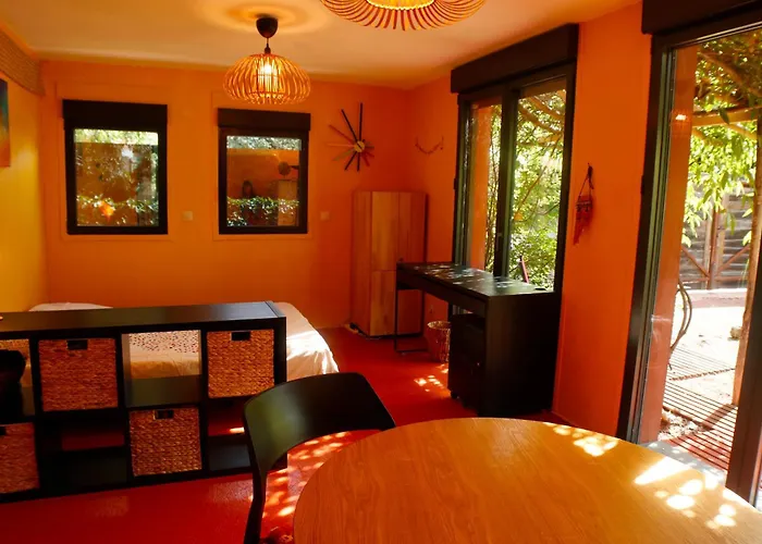 Studio Orange Oasis
