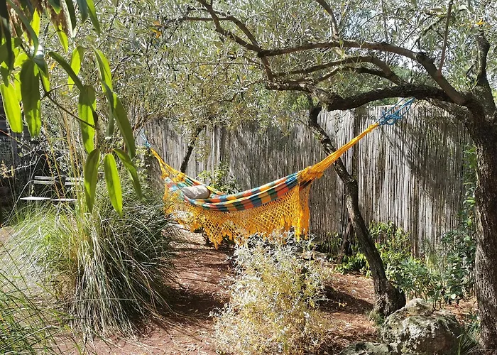 Studio Orange Oasis
